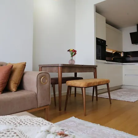 شقة Furnished - G Tower *